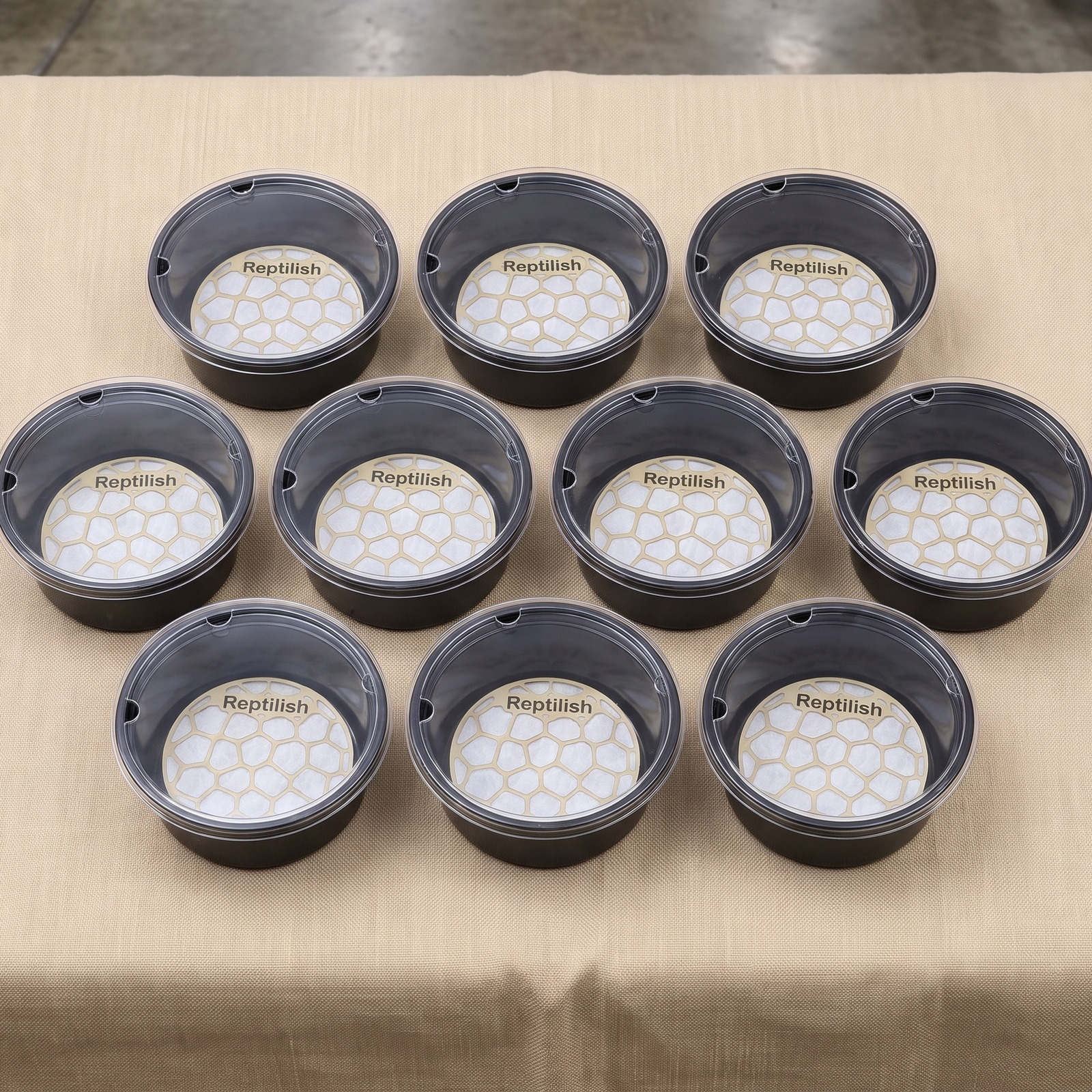 爬虫類イベントの展示テーブルに並べた、アクリルフタ付きのプリンカップ